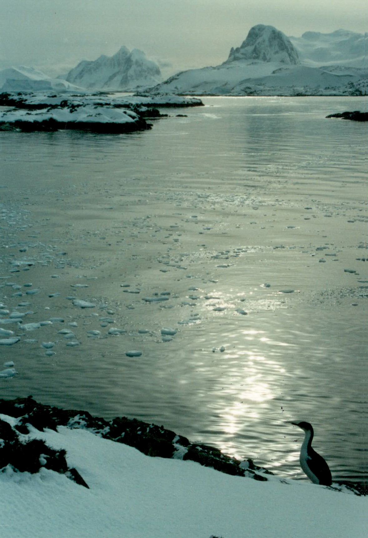 Antarctica 1992